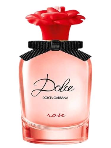 perfume dolce gabbana rosa americanas|dolce and gabbana the rose.